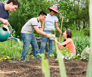 Why Veganic Soil is a Step Towards Environmental Justice