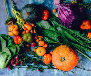 Harvesting Fall Veggies: A Veganic Guide to Late-Season Bounty