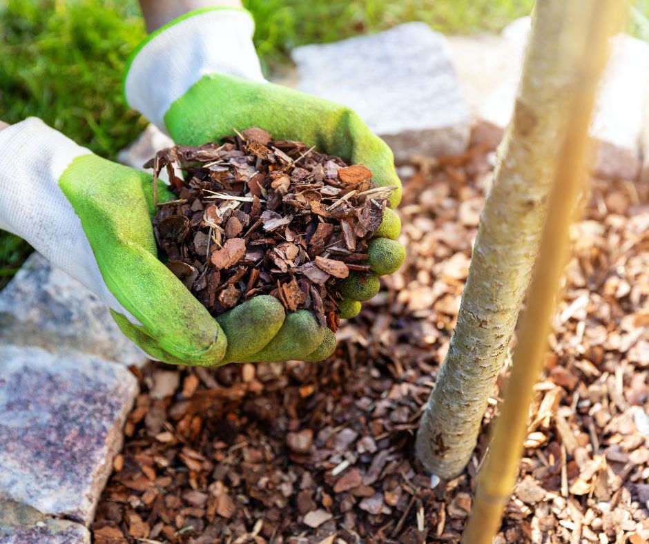 Fall Veganic Mulching: How to Protect Your Plants as Temperatures Drop